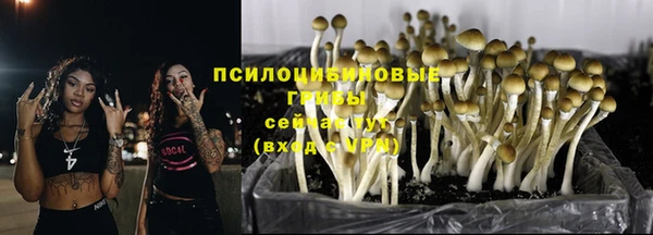 спайс Баксан