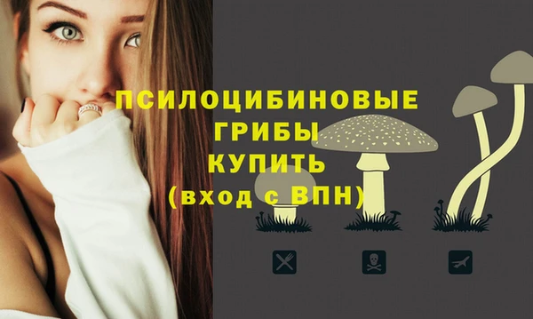 спайс Балахна