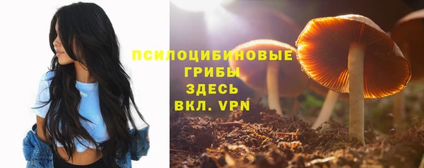 амфетамин Приозерск