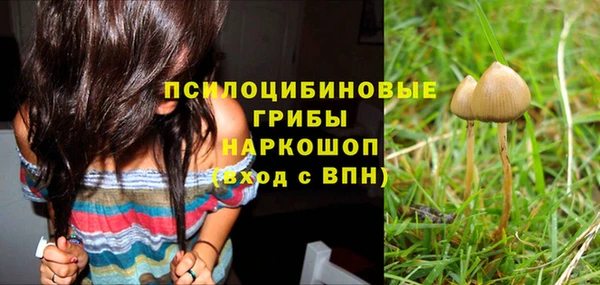 спайс Балахна