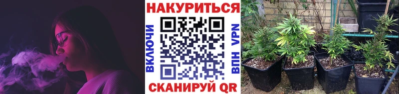 закладка  Любим  Канабис планчик 